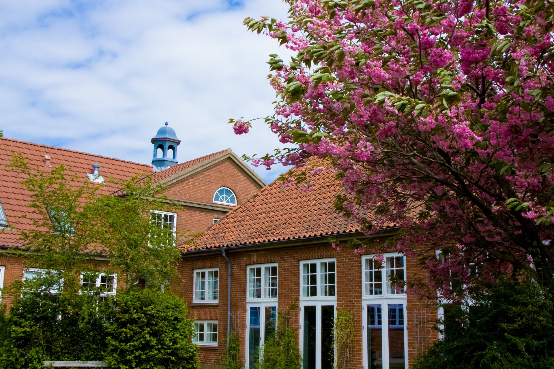 Lunderskov Efterskoler ser særlig godt ud, når kirsebærerne blomstrer Lunderskov Efterskole set fra syd. De japanske kirsebær blomstrer