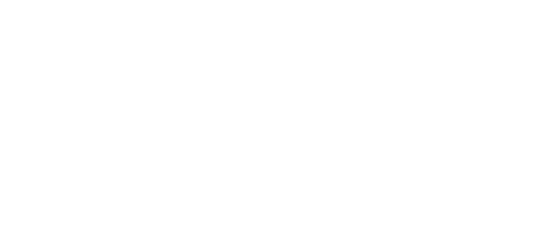 Bliv nytårselev