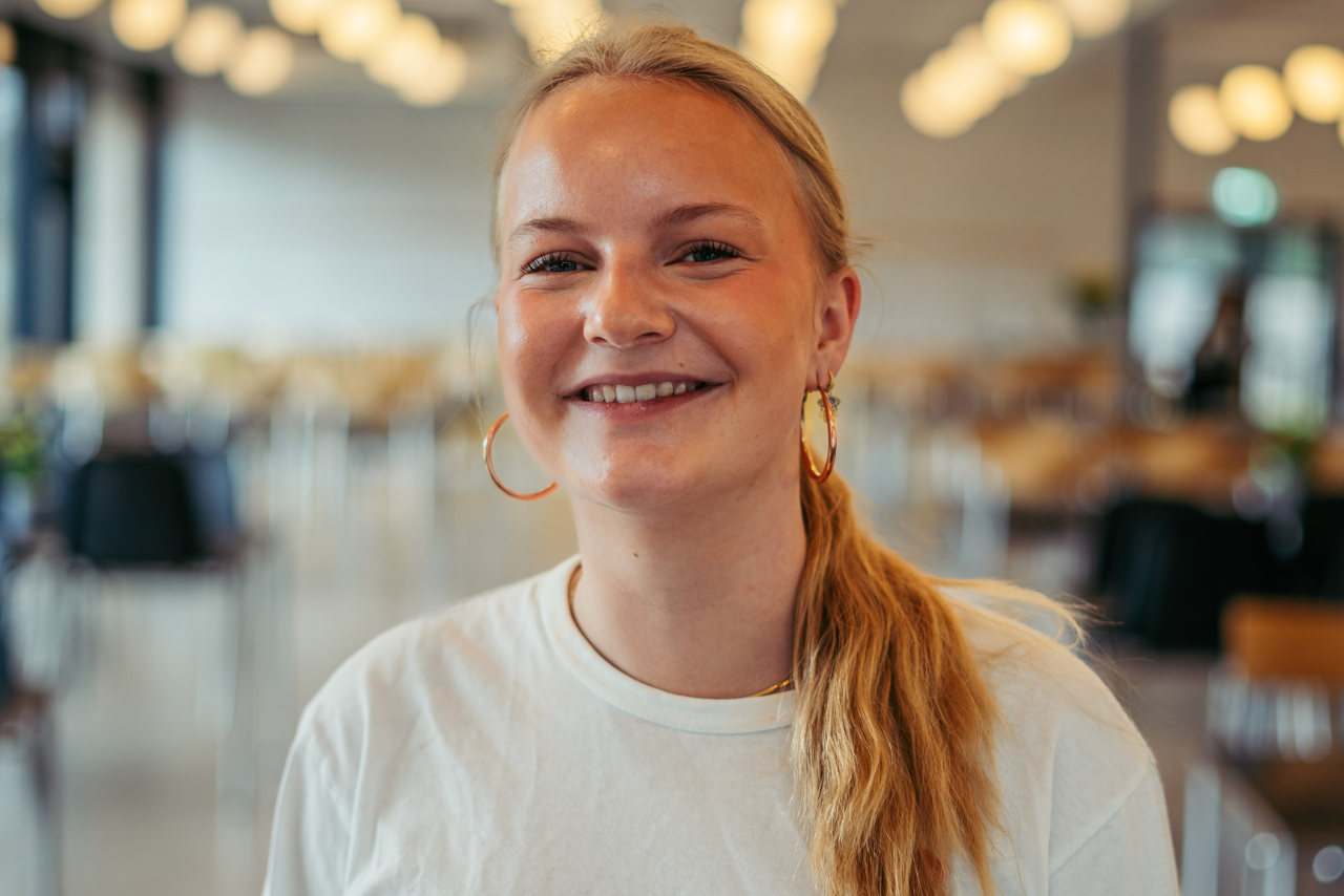 Set, hørt, forstået (3)